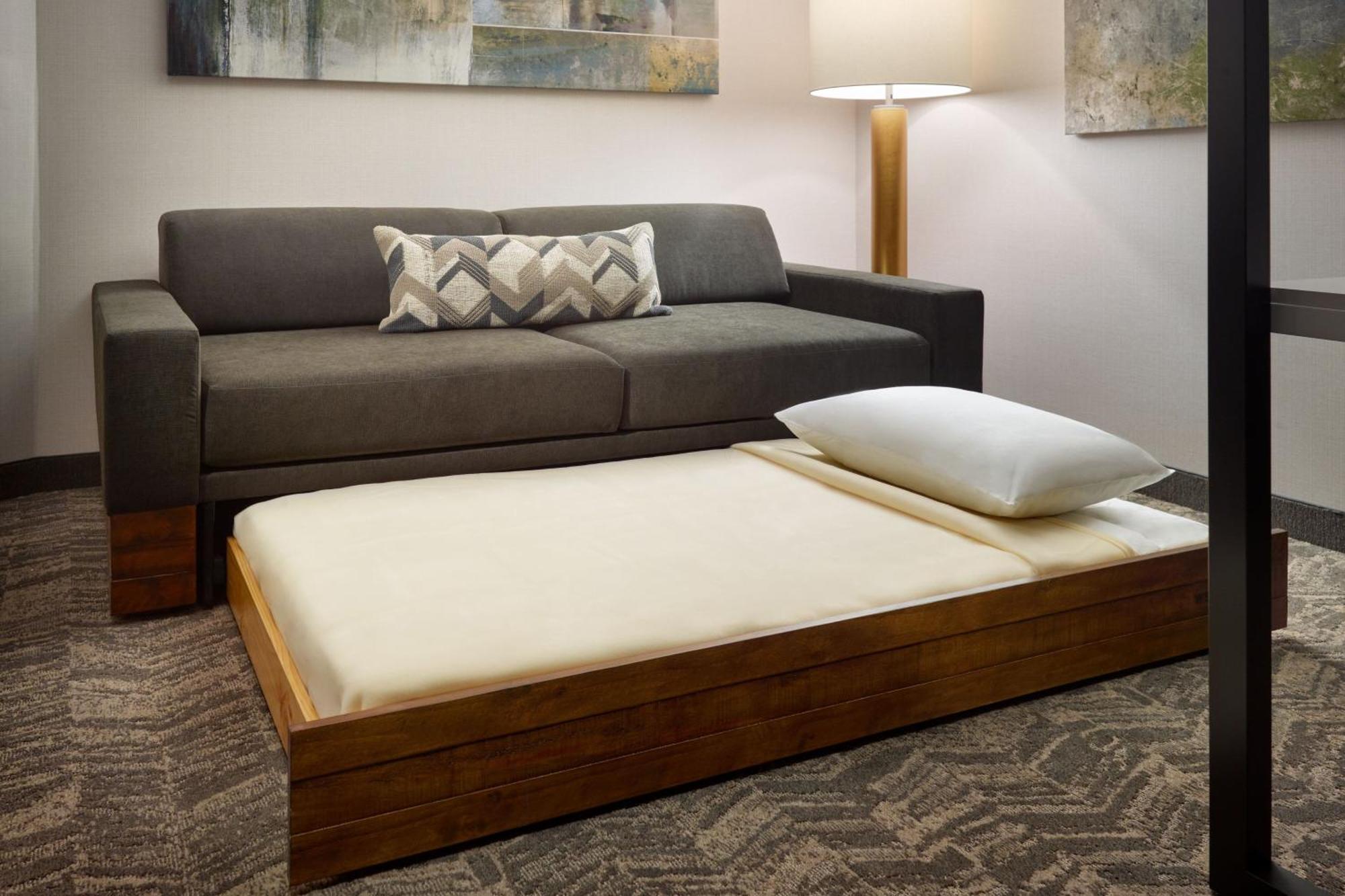 Springhill Suites By Marriott Arlington Tn Экстерьер фото